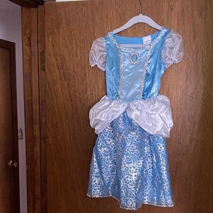 Cinderella Princess Costume